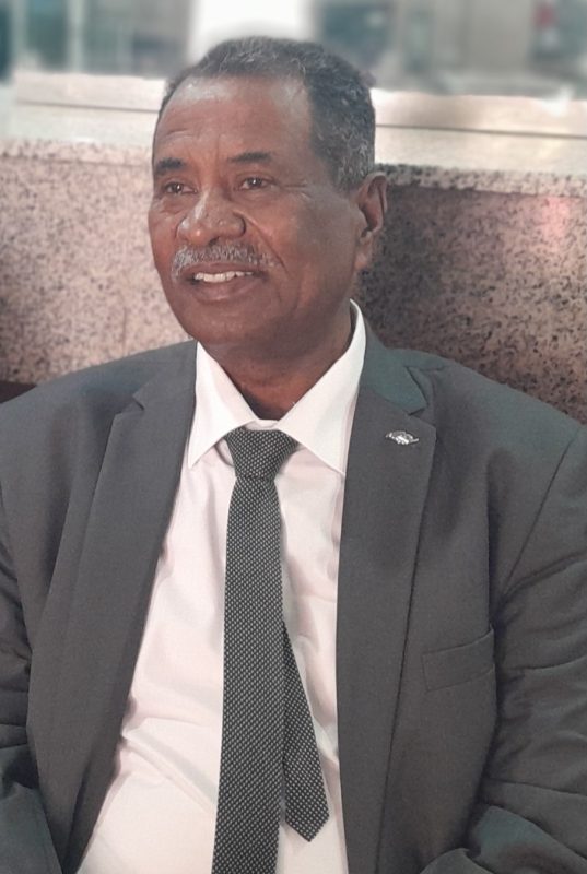 المدير العام